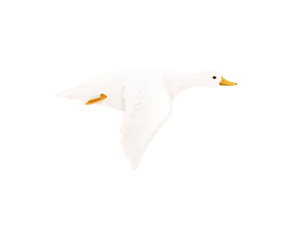 かわいいアヒルの白い空飛ぶガチョウの漫画動物のデザインベクトル図上の白い背景 — ストックベクタ