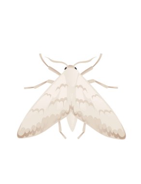 Beyaz arkaplanda izole edilmiş kelebek tasarımı kelebek tasarım vektör illüstrasyonunun güve karikatürü çizimi