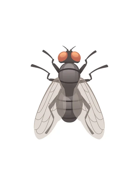 Housefly летающих насекомых мультфильм дизайн вектор иллюстрация на белом фоне вид сверху — стоковый вектор