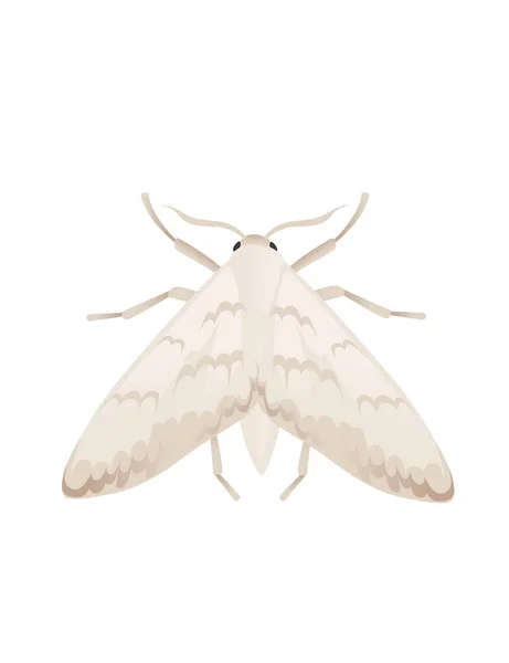 Ilustrasi top view pada kartun ngengat Vektor desain kupu-kupu serangga diisolasi pada latar belakang putih - Stok Vektor