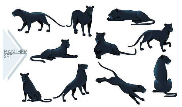 Set von Black Panther wilde Raubkatze afrikanischen Dschungel Jäger Cartoon Tier Design Vektor Illustration auf weißem Hintergrund — Stockvektor