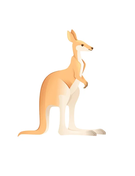 Cute adult kangaroo australian animal cartoon animal design vector illustration isolated on white background — Stock Vector