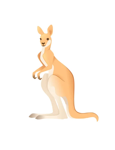 Cute dorosły kangur australijski zwierzę kreskówka projekt wektor ilustracja izolowane na białym tle — Wektor stockowy