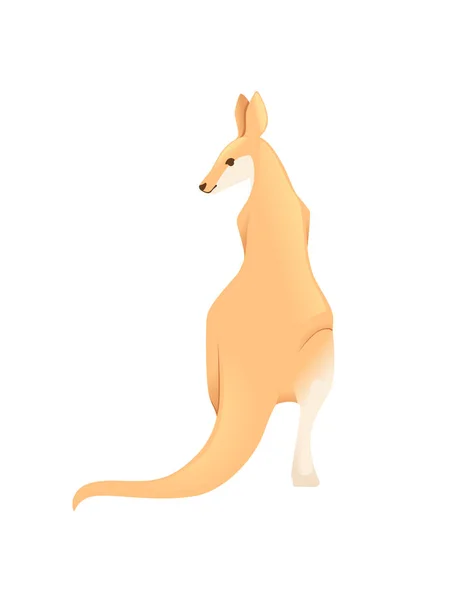 Cute adult kangaroo australian animal cartoon animal design vector illustration isolated on white background — Stock Vector