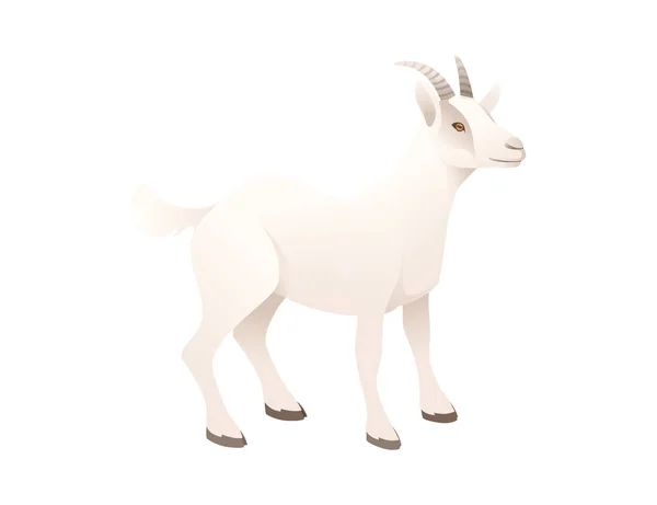 Beyaz arka planda izole edilmiş sevimli yetişkin beyaz keçi çiftliği hayvan çizgi film hayvan tasarımı vektör çizimi çizimi — Stok Vektör