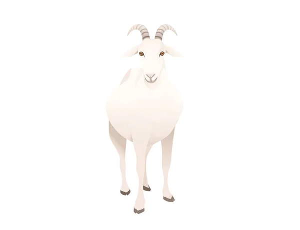 かわいい大人の白いヤギの農場動物の漫画の動物のデザインベクトルのイラストは白い背景に隔離 — ストックベクタ