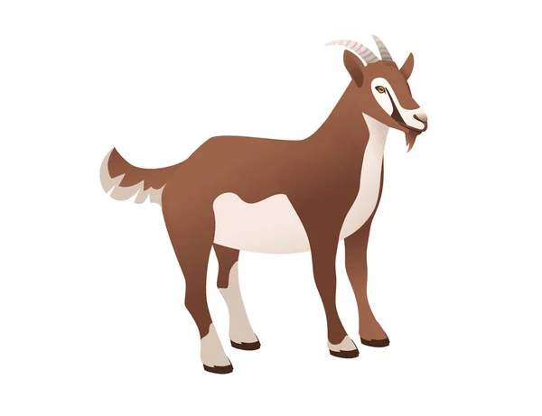 Cute dorosłych brązowy kozy gospodarstwa zwierząt kreskówka zwierząt projekt wektor ilustracja izolowane na białym tle — Wektor stockowy