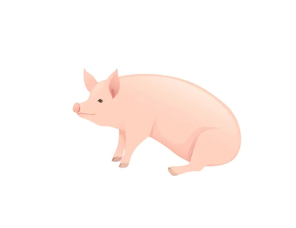 Nette Erwachsene Schwein Bauernhof Tier Cartoon Tier Design Vektor Illustration isoliert auf weißem Hintergrund — Stockvektor