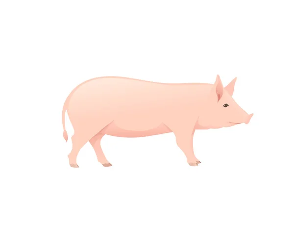 Nette Erwachsene Schwein Bauernhof Tier Cartoon Tier Design Vektor Illustration isoliert auf weißem Hintergrund — Stockvektor