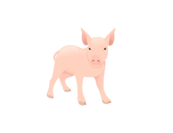 Nette Erwachsene Schwein Bauernhof Tier Cartoon Tier Design Vektor Illustration isoliert auf weißem Hintergrund — Stockvektor