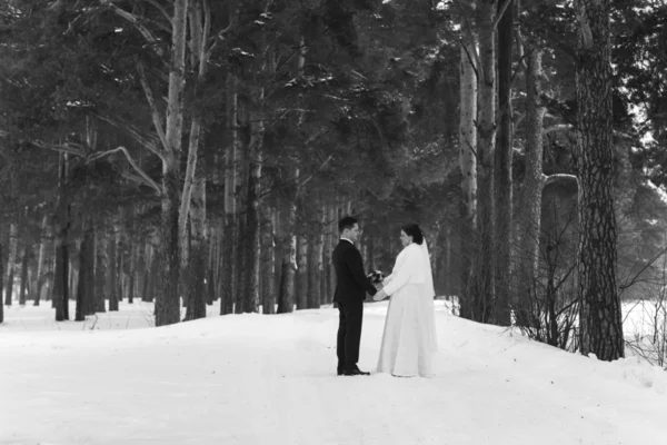 Couple newlyweds walking in a winter forest — Stock Photo, Image