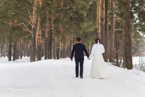 Couple newlyweds walking in a winter forest — Stock Photo, Image