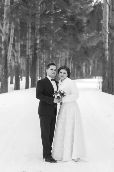 Couple newlyweds walking in a winter forest — Stock Photo, Image