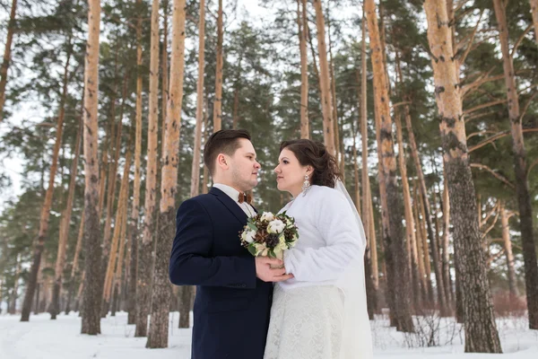 Casal recém-casados andando em uma floresta de inverno — Fotografia de Stock
