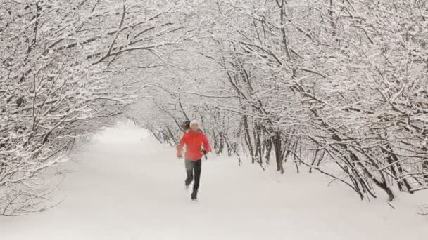 Running in the woods in winter — Stock Video