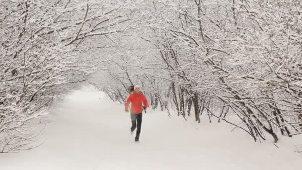 Běh v lese v zimě