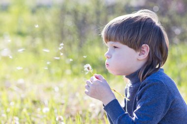 Çocuk üfleme karahindiba