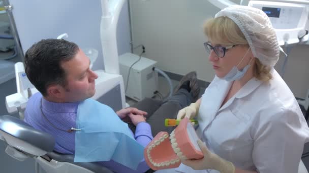 Dentista usar modelo de mandíbula e escova de dentes para ensinar o paciente a limpeza correta dos dentes. — Vídeo de Stock