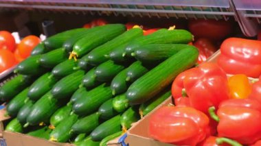 Plastik kutularda taze sebzeler biber, domates, salatalık süpermarkette.