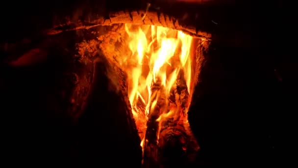 Big tree trunks, logs are burning in bonfire in dark on nature. — Stock Video