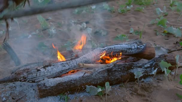 사람은 밤에 불을 계속 밝히기 위해 모닥불 속에 통나무를 놓고 있다. — 비디오