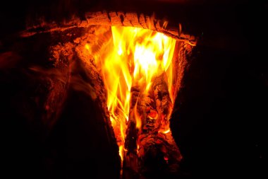 Büyük ağaç gövdeleri, kütükler doğanın karanlığında şenlik ateşinde yanıyor..