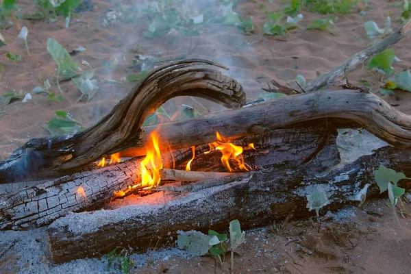 Палаючий вогонь на піску в кемпінгу, вогонь на камеру вночі на природі . — стокове фото