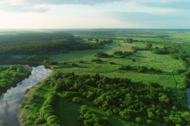 Manzaranın içindeki adadaki bükücü nehir ve ormanın havadan görünüşü..