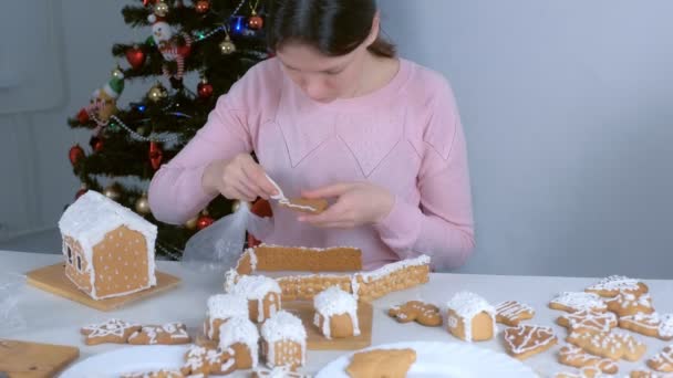 A nő karácsonyi mézeskalács sütit dekorál cukormázzal.. — Stock videók