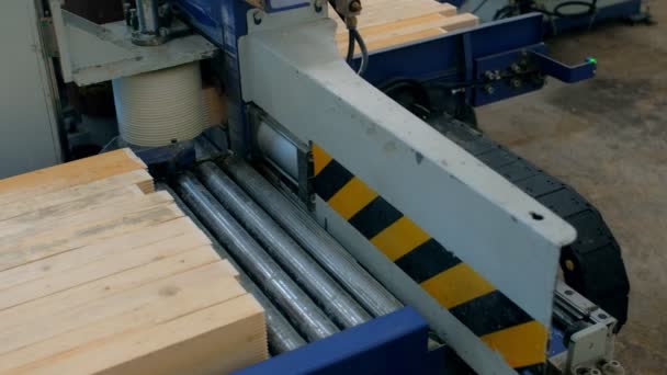 La producción de madera laminada de la chapa, pegando la máquina está aplicando pegamento en barras. — Vídeos de Stock