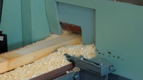 Machinery equipment for grinding bars on production of laminated veneer lumber. — Stock Video