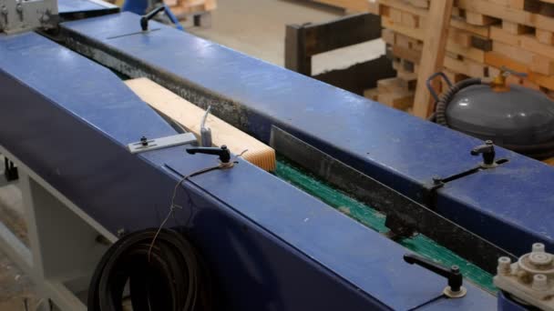 Cinta transportadora con chapa de madera laminada en planta de producción de maquinaria. — Vídeos de Stock