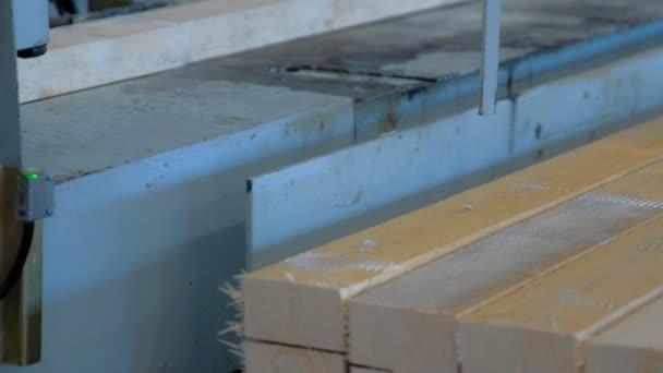Produção de madeira de folheado laminado em planta em equipamento de máquina de corte. — Vídeo de Stock