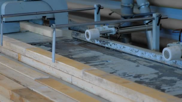 Виробництво ламінованого шпону на заводі на різальному обладнанні . — стокове відео