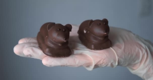 Cukiernik trzyma w ręku dwie myszy czekoladowe, producenta słodyczy. — Wideo stockowe