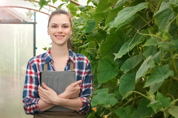 Mujer agrónoma con tableta trabajando en invernadero y mirando a la cámara. — Foto de Stock