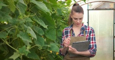 Tabletli Agronomist kadın serada çalışıyor ve kameraya bakıyor..