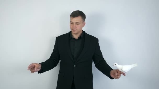 Magician makes trick with white pigeon bird who flying from one hand to other. — Stock Video
