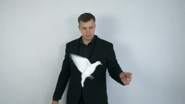Zauberer trickst mit weißem Taubenvogel, der von einer Hand in die andere fliegt. — Stockvideo