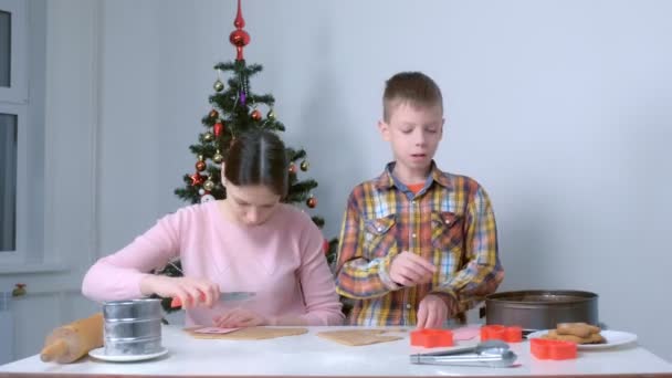 Maman et fils faisant cuire des biscuits au pain d'épice regarder la caméra et sourire. — Video