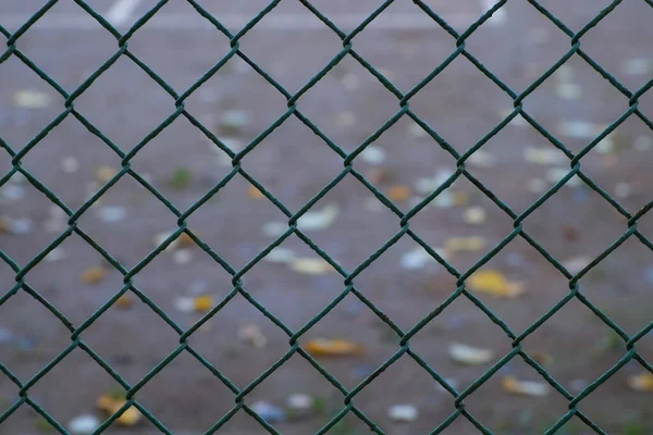 Green metal wire fence with rhombuses in park, view on asphalt through it.