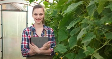 Tabletli Agronomist kadın serada çalışıyor ve kameraya bakıyor..