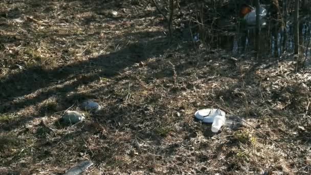 Люди залишили пластикові сміття після пікніка в лісі, забруднення навколишнього середовища . — стокове відео