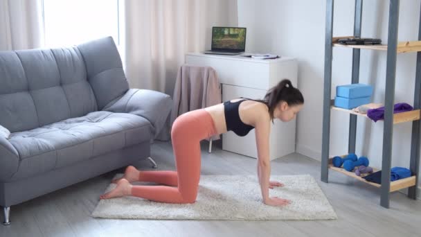 Spor kıyafetli kadın inek ve kedi yogası poziyonunda geri dönüş antrenmanı yapıyor.. — Stok video