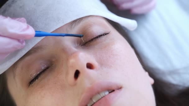 Cosmetologue appliquer de l'huile sur les cils après la procédure de levage et de laminage. — Video