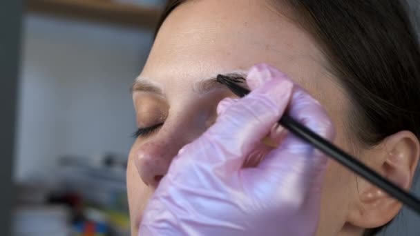 Cosmetologue peint les sourcils des femmes à la clinique de cosmétologie, vue rapprochée. — Video