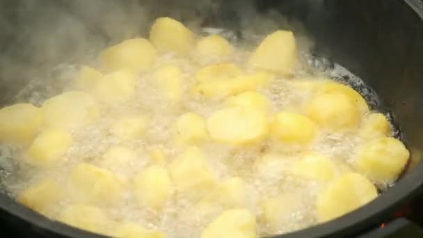Potato steker i kittel i kokande het olja på naturen i brand, närbild. — Stockvideo