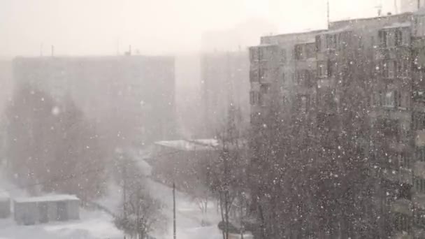 Městská krajina v modrých barvách v silném sněžení, vánice, sněhová bouře na ulici. — Stock video