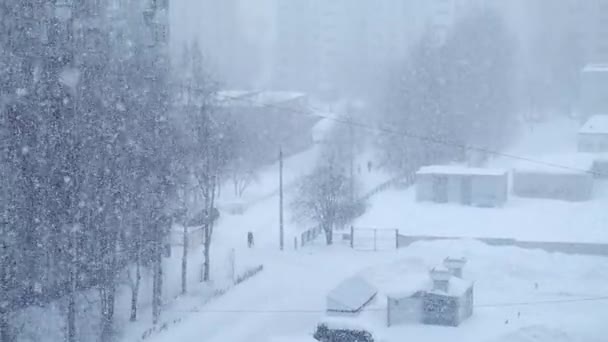 Stedelijk landschap in blauwe kleuren in zware sneeuwval, sneeuwstorm, sneeuwstorm op straat. — Stockvideo
