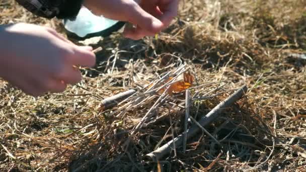 Ręka chłopca ze szkłem powiększającym przygotowującego patyki i trawę do rozpalania ogniska.. — Wideo stockowe